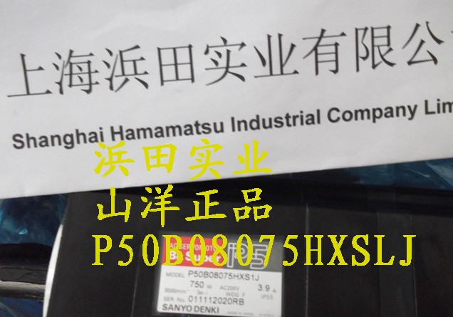 P10B13150BXS00+RS1A03AA sanmotion